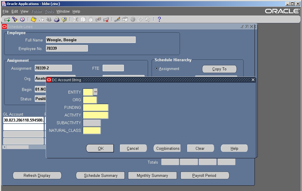 GL String Entry screen