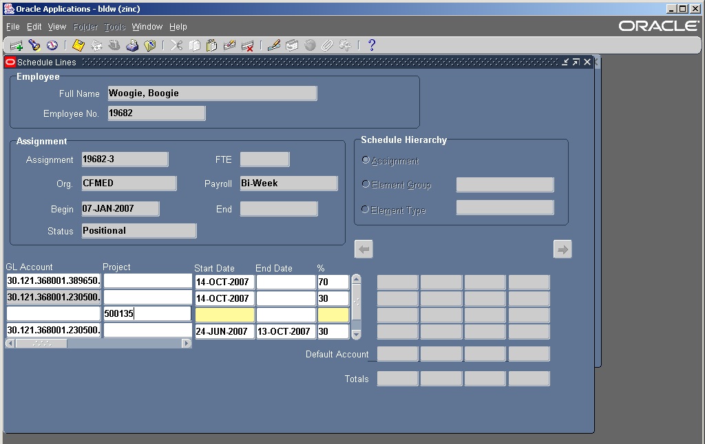 Project Entry Field