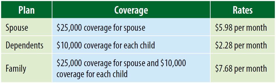 Chart depicting life insurace costs.