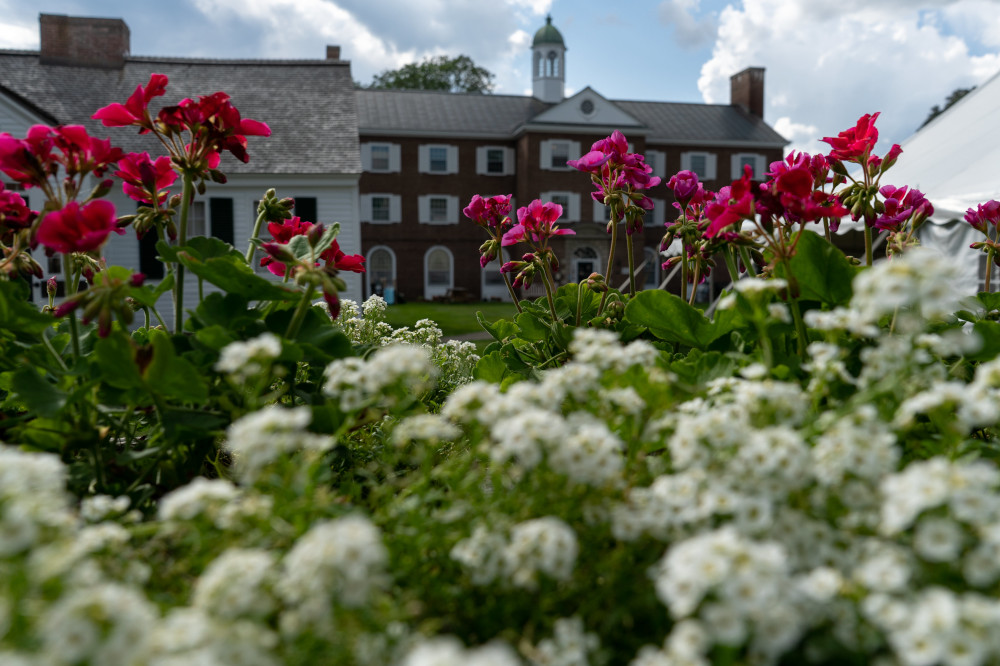 picture of shabazz flowers