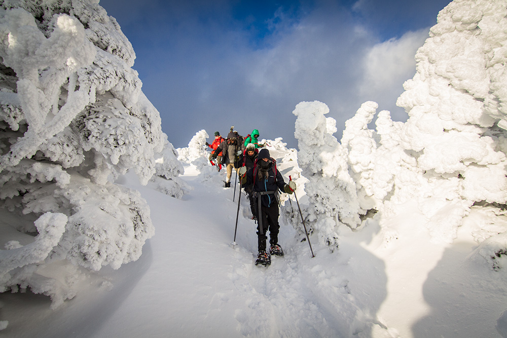 Snowy snowshoe hike.